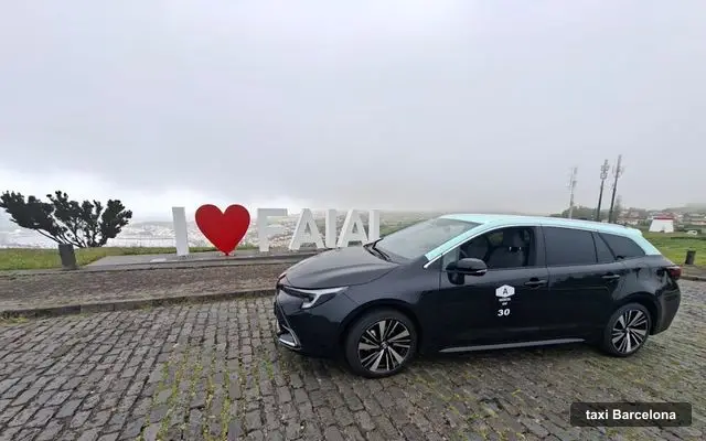 TÁXI HORTA-FAIAL, servicio de taxi en Barcelona