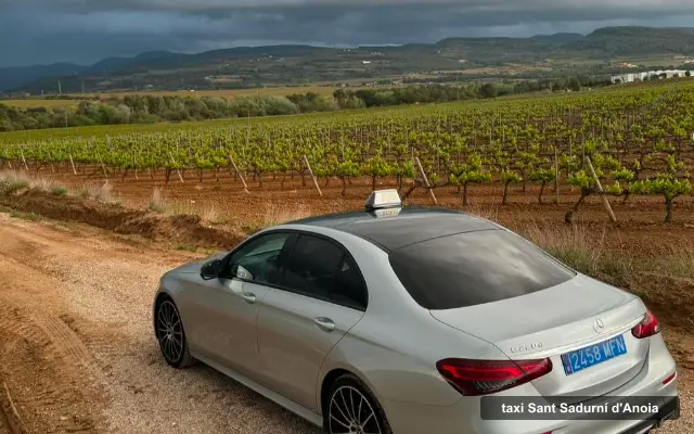 Taxi Sant Sadurní Pablo González, servicio de taxi en Sant Sadurní d'Anoia