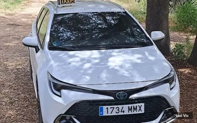 Taxi Segundo Vic Osona, servei de taxi a Vic